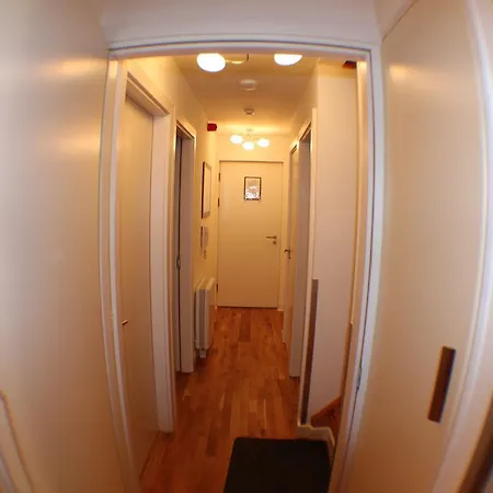 Apartament The Ash